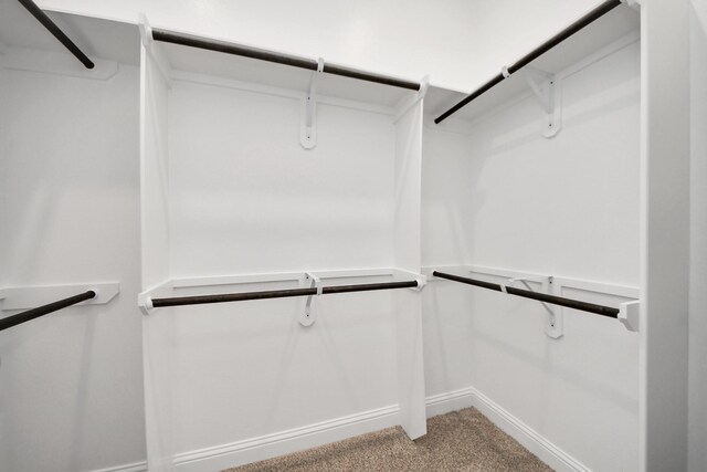 21311 Bridle Rose Trl, Tomball, TX 77377 - spacious closet featuring carpet flooring
