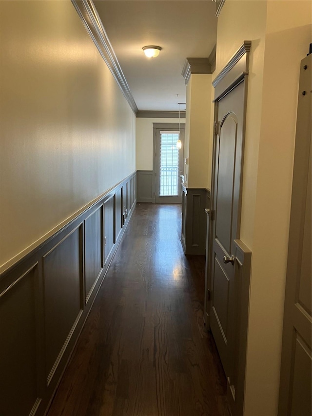 corridor with a wainscoted wall, ornamental molding, a decorative wall, and dark wood-type flooring