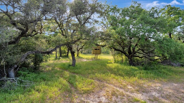 0 Fm 822, Edna, TX 77957 - photo 5