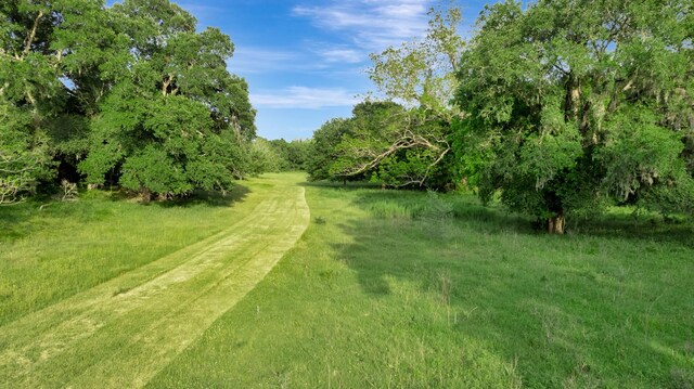 0 Fm 822, Edna, TX 77957 - photo 12