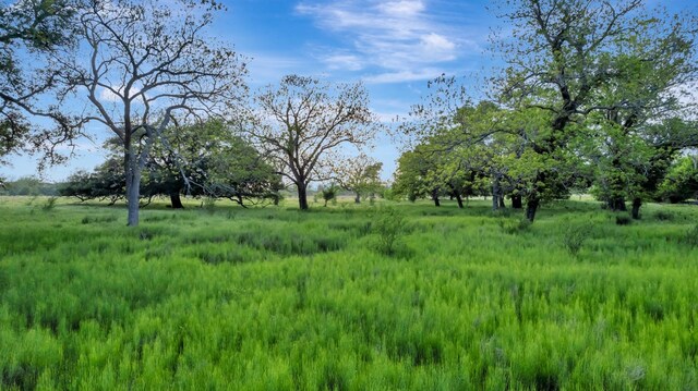 0 Fm 822, Edna, TX 77957 - photo 31