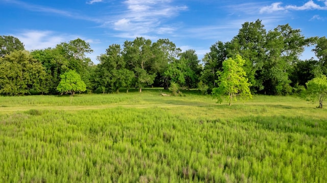0 Fm 822, Edna, TX 77957 - photo 13