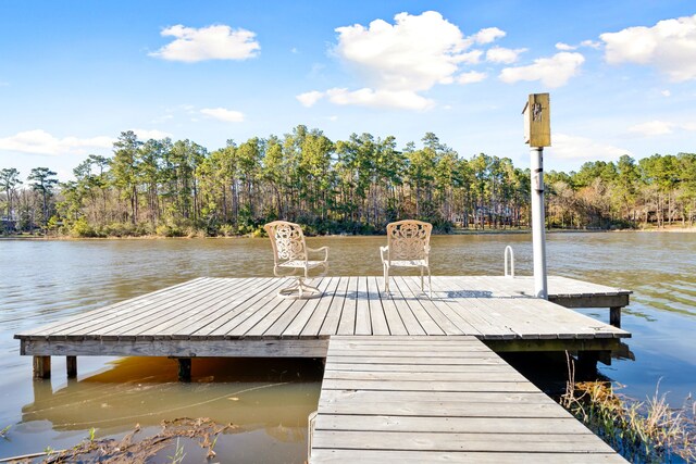 653 Terrace Trl, Goodrich, TX 77335 - dock featuring a water view