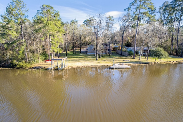 water view with a dock