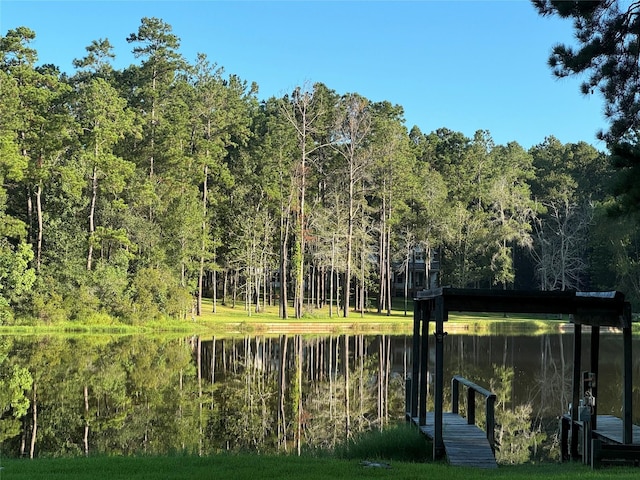 653 Terrace Trl, Goodrich, TX 77335 - water view featuring a heavily wooded area