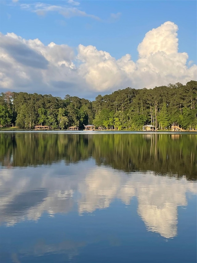 653 Terrace Trl, Goodrich, TX 77335 - water view featuring a forest
