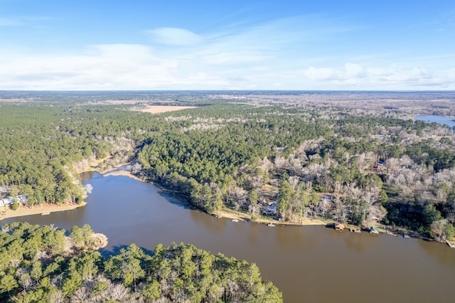 653 Terrace Trl, Goodrich, TX 77335 - aerial view of property and surrounding area with a heavily wooded area and a large body of water