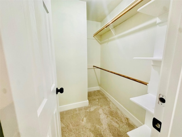 walk in closet with carpet flooring