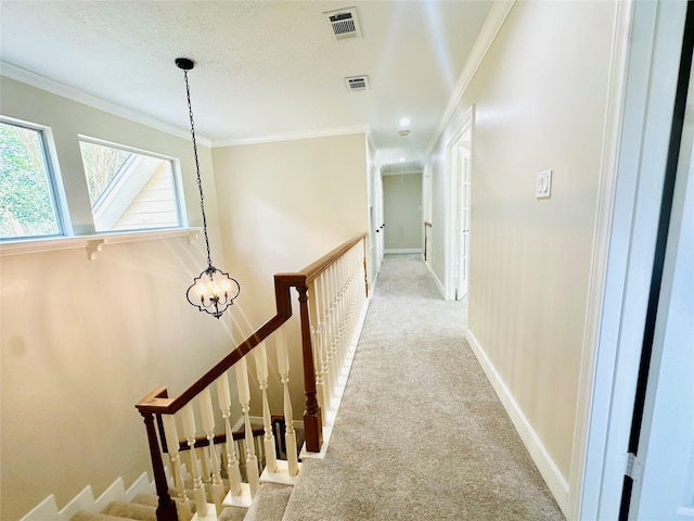 hallway with baseboards, carpet, visible vents, and crown molding