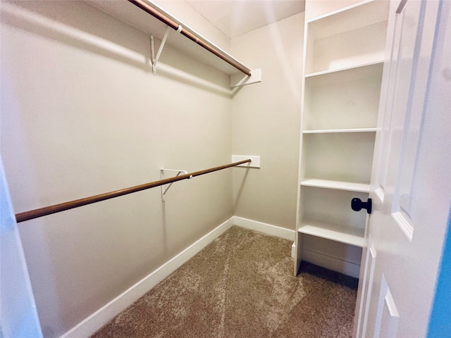 walk in closet with carpet