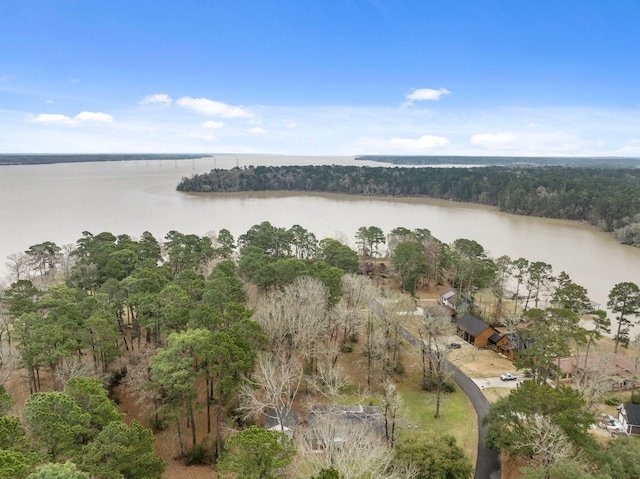 view of water feature with a wooded view