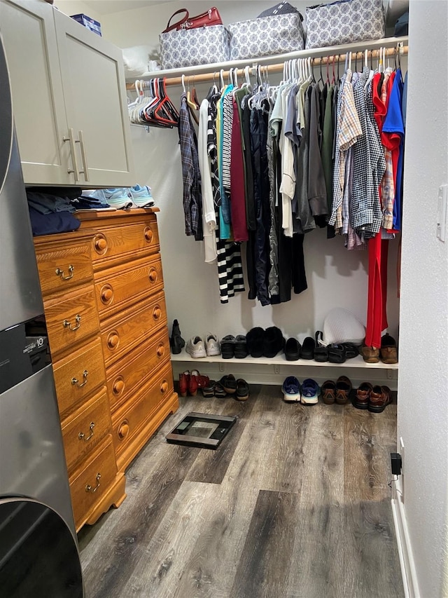 spacious closet featuring dark wood-type flooring