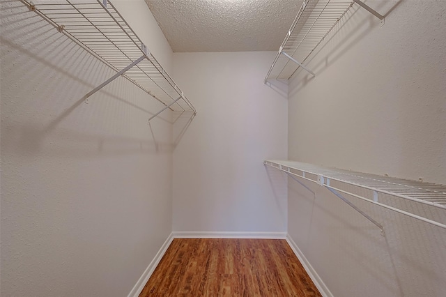 spacious closet with wood finished floors