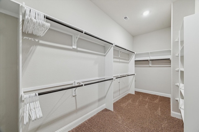 spacious closet featuring carpet and visible vents