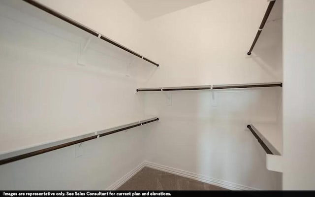 719 Woodbinde Dr, League City, TX 77573 - walk in closet featuring carpet floors