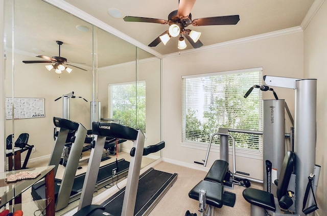 exercise area featuring baseboards, ornamental molding, ceiling fan, and carpet flooring