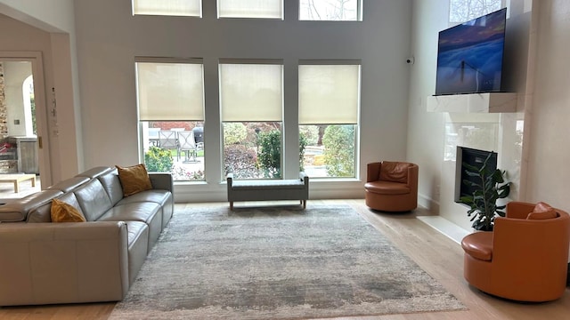 living room with a fireplace with flush hearth and light wood-style floors