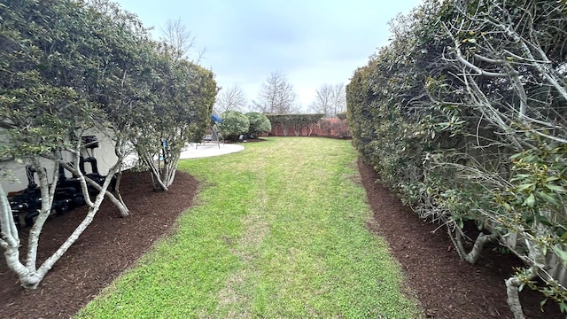 view of yard featuring a patio area and a fenced backyard