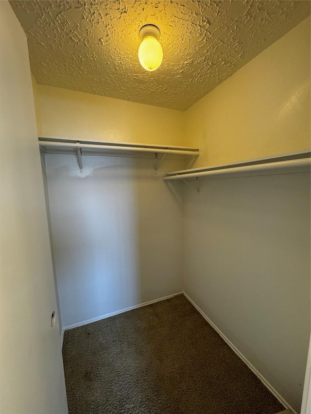 spacious closet with carpet