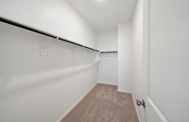 10702 Sora Dr, Willis, TX 77378 - spacious closet with light colored carpet