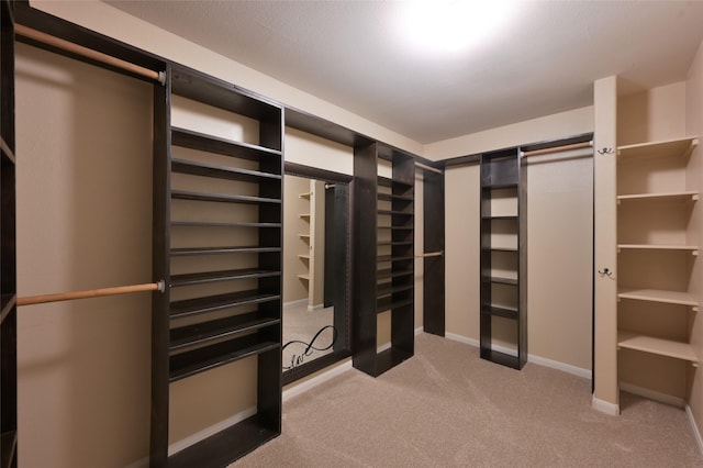 spacious closet with carpet