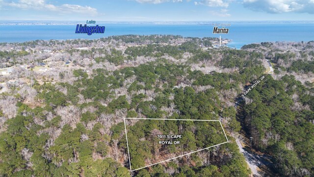 701.1 S Cape Royale Dr, Coldspring, TX 77331