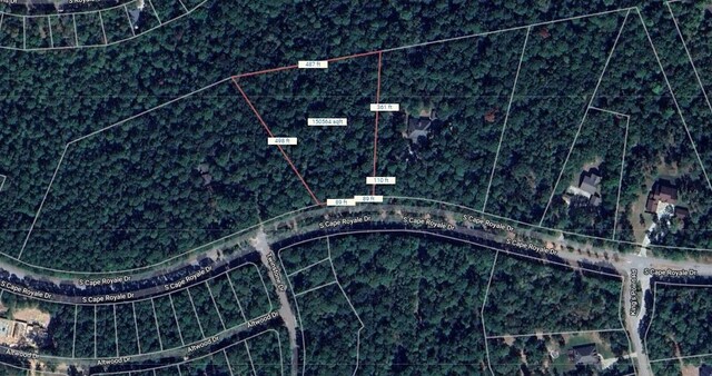 701.1 S Cape Royale Dr, Coldspring, TX 77331