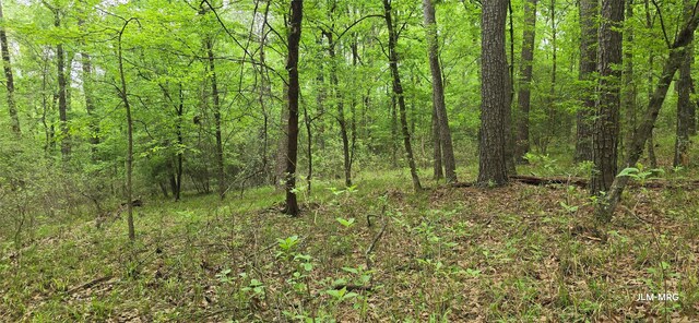 701.1 S Cape Royale Dr, Coldspring, TX 77331