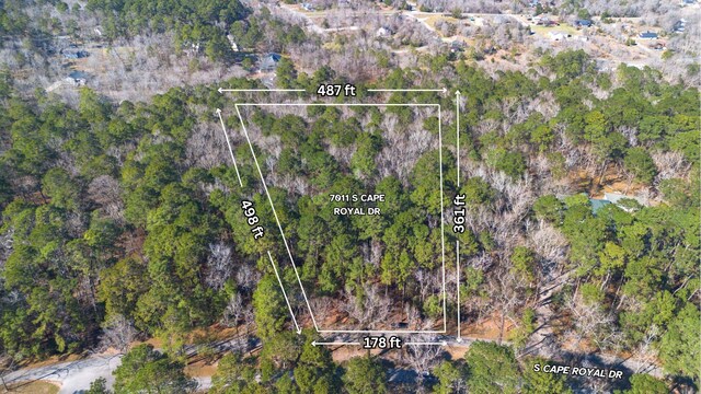 701.1 S Cape Royale Dr, Coldspring, TX 77331