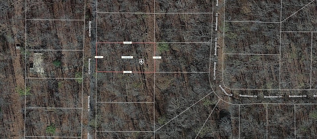 Listing photo 2 for LOT5 Buckboard Dr, AR 72482