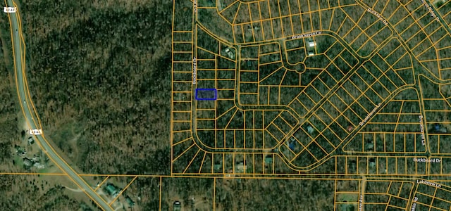 Listing photo 3 for LOT5 Buckboard Dr, AR 72482