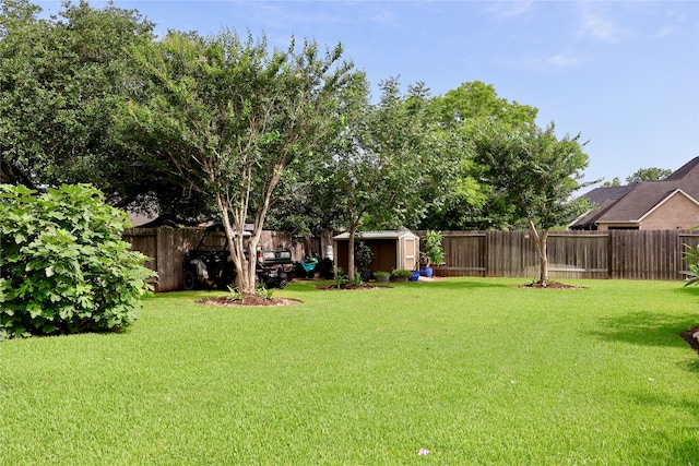 view of yard featuring a fenced backyard, an outdoor structure, and a shed