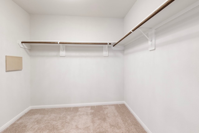 spacious closet featuring light carpet