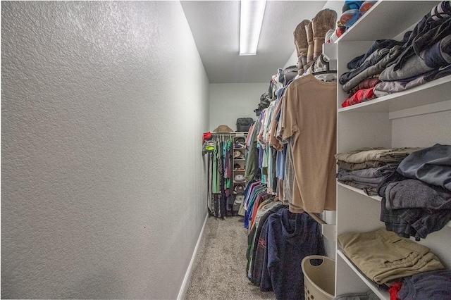 walk in closet with carpet