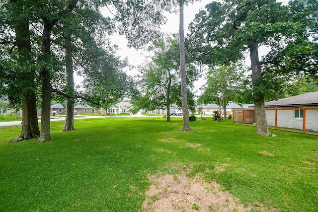 2626 Druid St, Houston, TX 77091 - view of green lawn