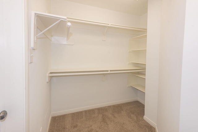 spacious closet with light carpet