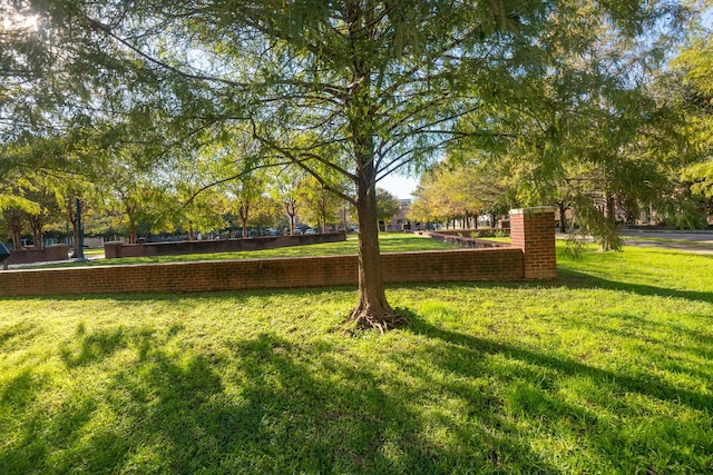 surrounding community featuring a lawn