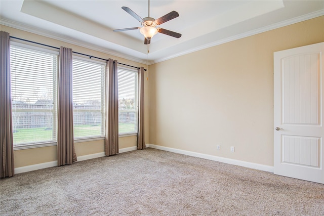 spare room featuring light carpet, a tray ceiling, and baseboards