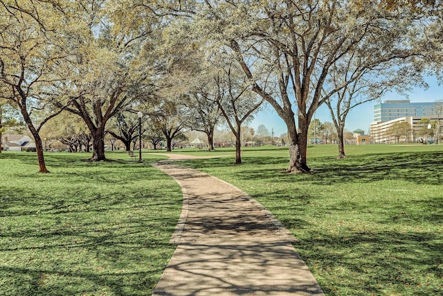 view of property's community with a yard