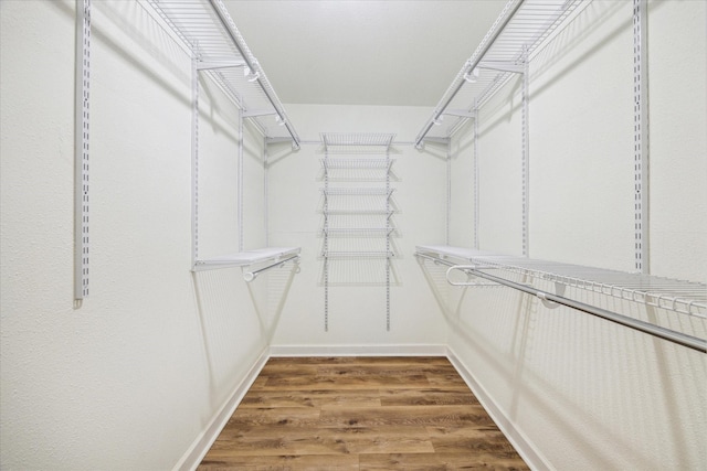 walk in closet featuring wood finished floors