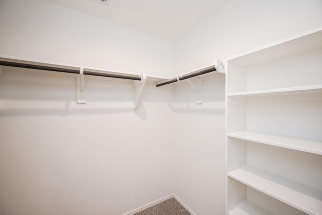 spacious closet featuring carpet