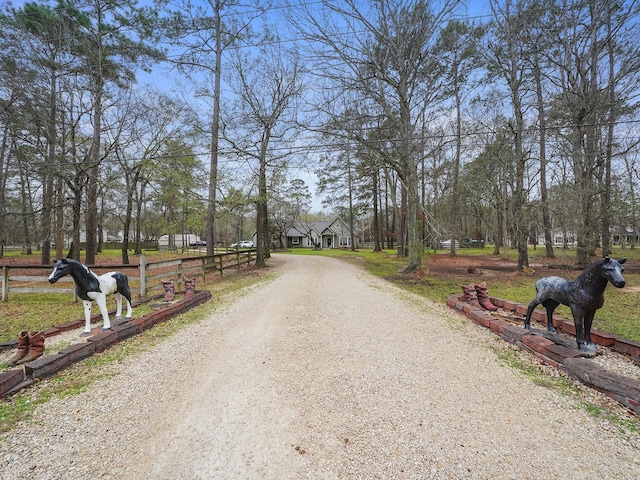 view of road with a rural view and dirt driveway