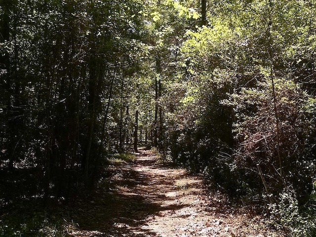 view of local wilderness