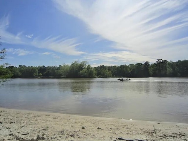 water view with a wooded view