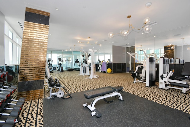 exercise room featuring a healthy amount of sunlight