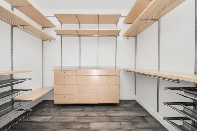 spacious closet featuring dark wood-style floors