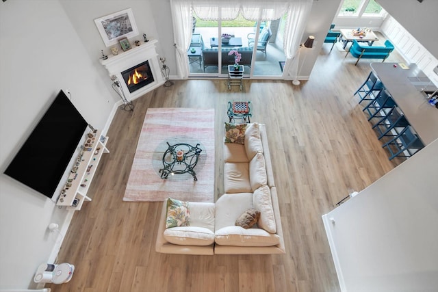 living area featuring baseboards, wood finished floors, and a glass covered fireplace