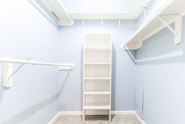 view of spacious closet