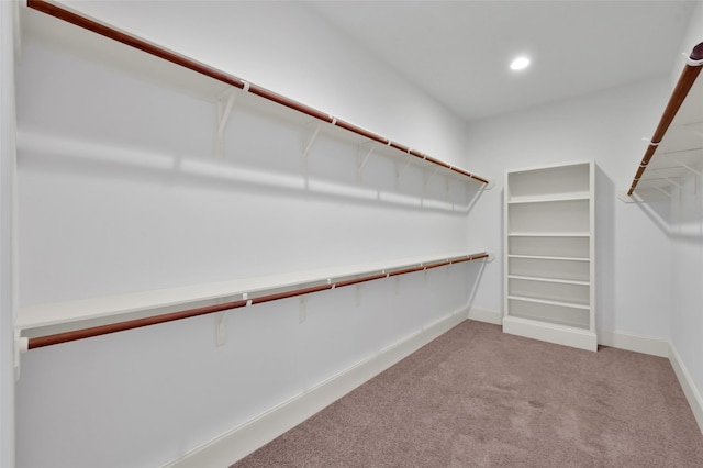 walk in closet featuring light colored carpet