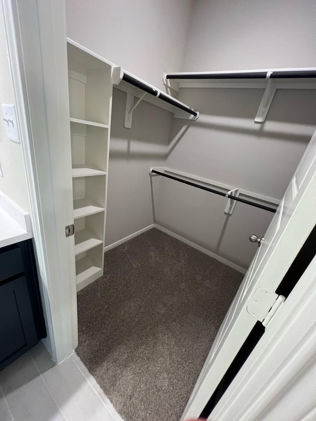 walk in closet with light carpet